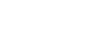 Ziener