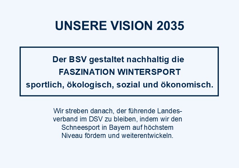 BSV Vision als Bild