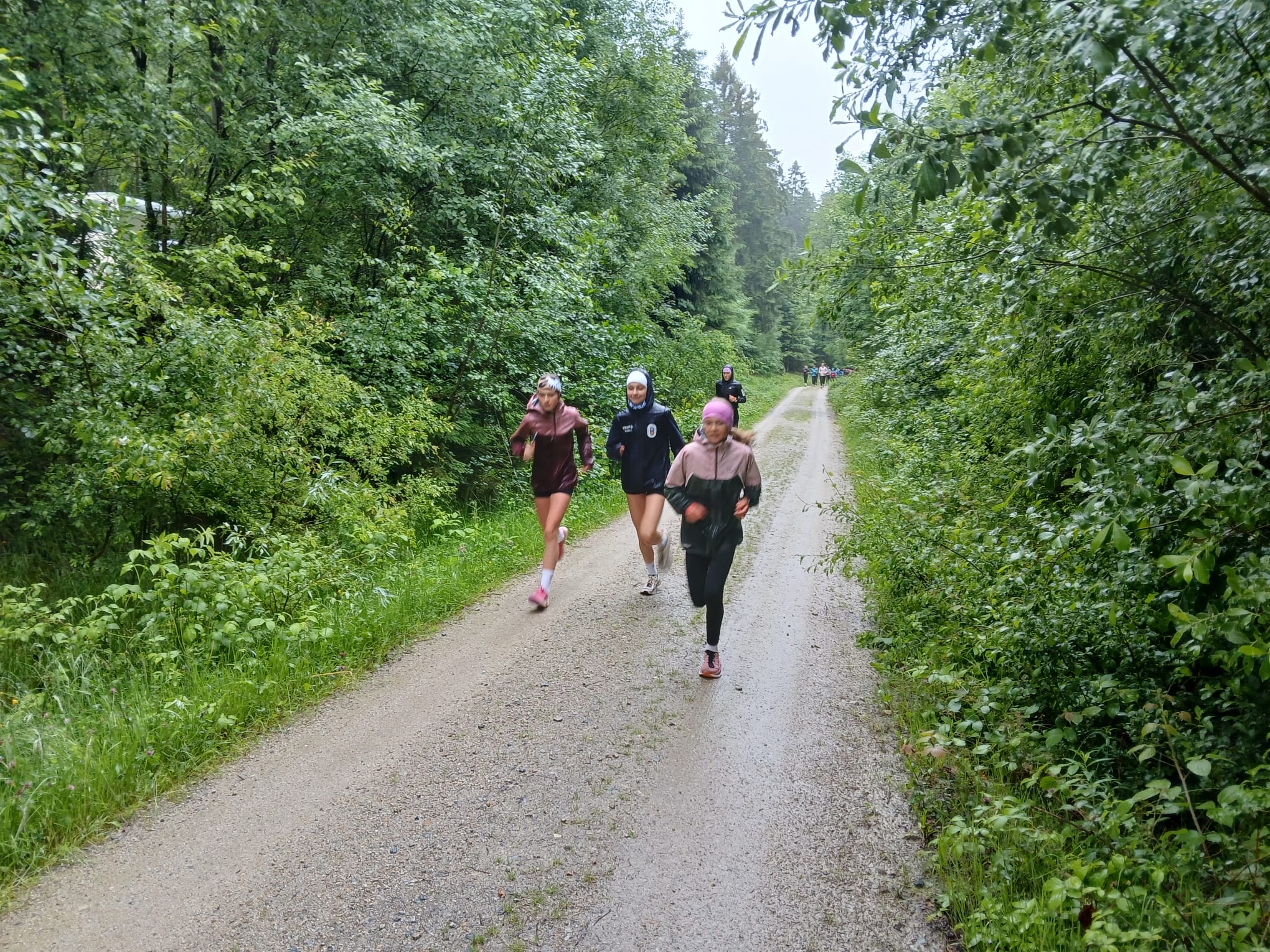 3 Sportler joggen im Wald