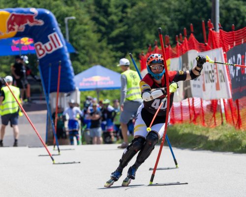 Skiinlilner