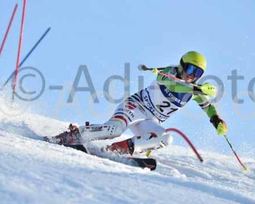 Schnelle „Ritte“ im Stangenwald am Hündle