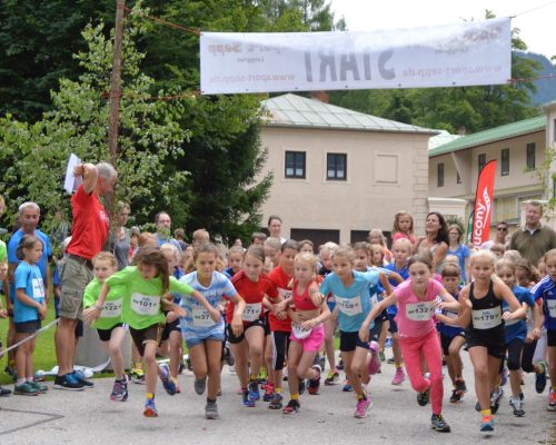 Der Crosslauf im bayerischen Oberland – 8. Hohenburger Schlosslauf