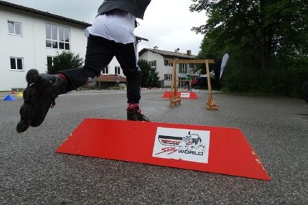 Ski-Inline Info Brief