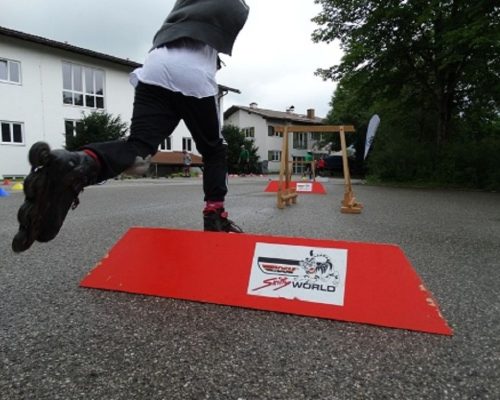 Ski-Inline Info Brief