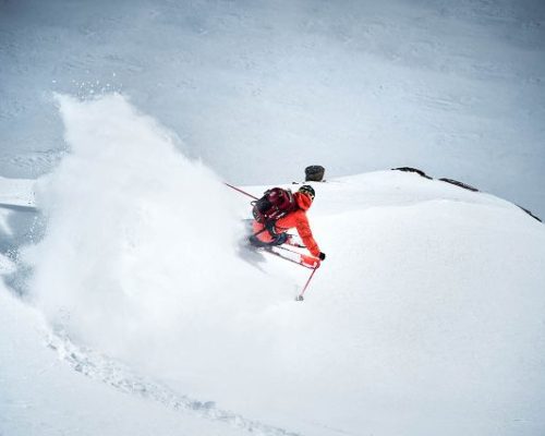 Die Top Five der Powder Department Runs